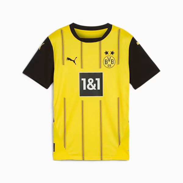 Camiseta borussia dortmund jr. 24/25