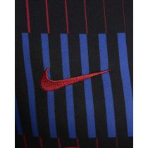 CAMISETA PREMATCH FC BARCELONA 2024/25 NIKE